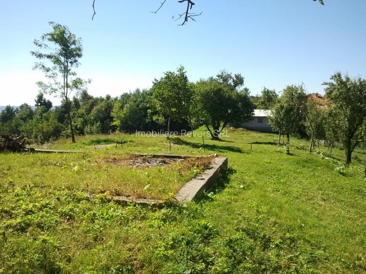 Teren livadă cu panoramă superbă Dealul Malului pentru casă sau cabană - 9