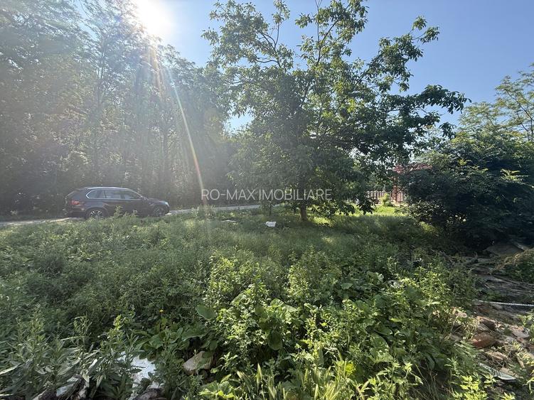 Casă renovanila lângă pădure 91 mp + teren 500 mp cu toate utilitățile - 19
