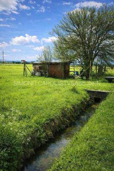 Teren intravilan 990 mp – Curteni, toate utilitatile - 2