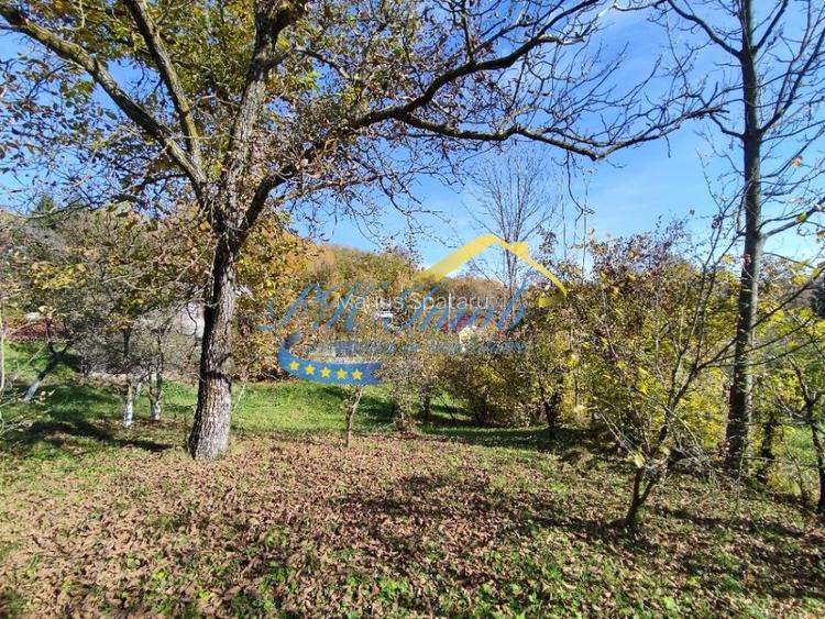 Teren intravilan de vanzare, Provita de Jos - 4