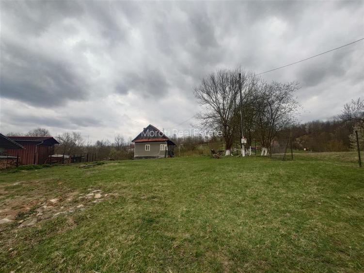 10 000 mp teren intravilan cu priveliste - 9