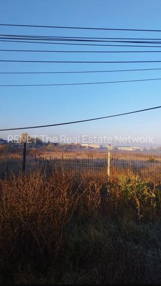 Inchiriez  teren 5000mp  Buc Măgurele, nr:236 stradal Sector 5 pentru 4500 EURO - 5
