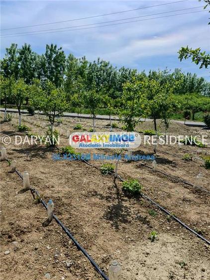 Teren in Poienari Apostoli, 21 E mp, Avantajos, DN1, 34.500 euro - 4