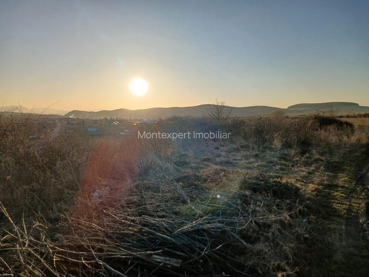 Teren 12.300 mp de vânzare Hărman – Podu Oltului, Brașov | 15 €/mp | Investiție - 3