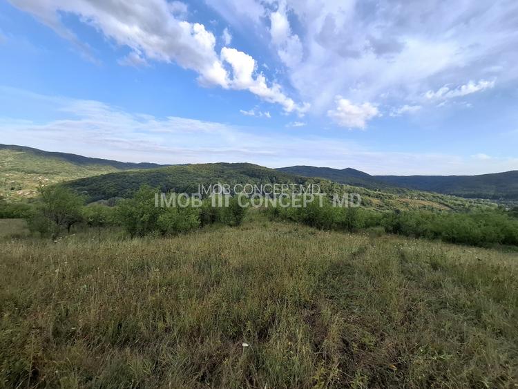 Teren spectaculos cu padure, livada si priveliste panoramica in Soimari PH - 2