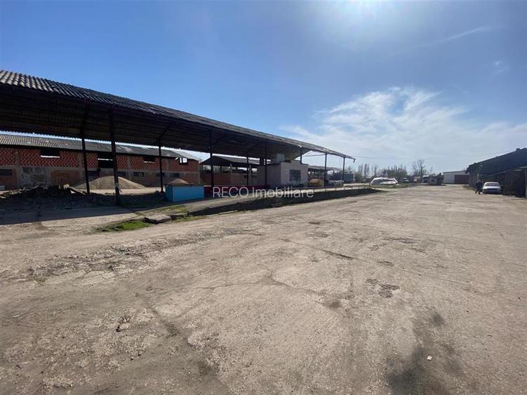 RECO hale cu teren generos Salonta - 4