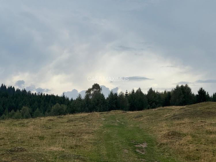 Teren Extravilan de Vânzare în Păltiniș - Oportunitate Excepțională Investiții! - 6