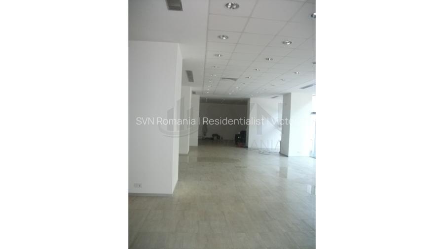 REC0001741 Spatiu Comercial Piata Victoriei - Titulescu - 10
