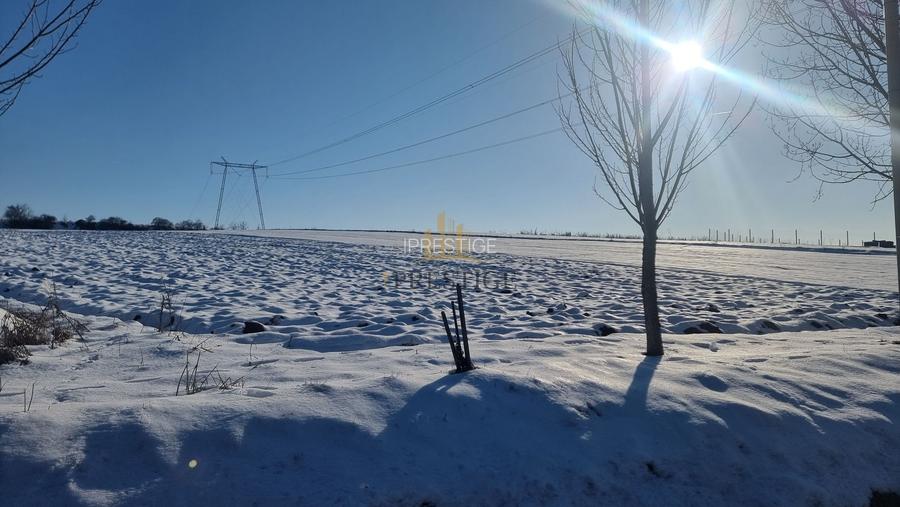 FĂRĂ COMISION | TEREN 6695 MP ÎN ȘURA MARE - 6