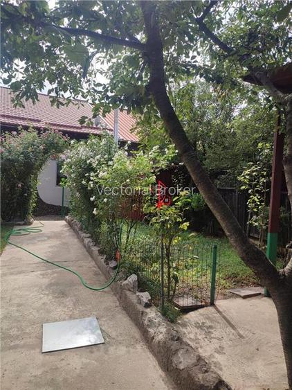 Inchiriere casa individuala 3 camere si curte generoasa Chitila - 24