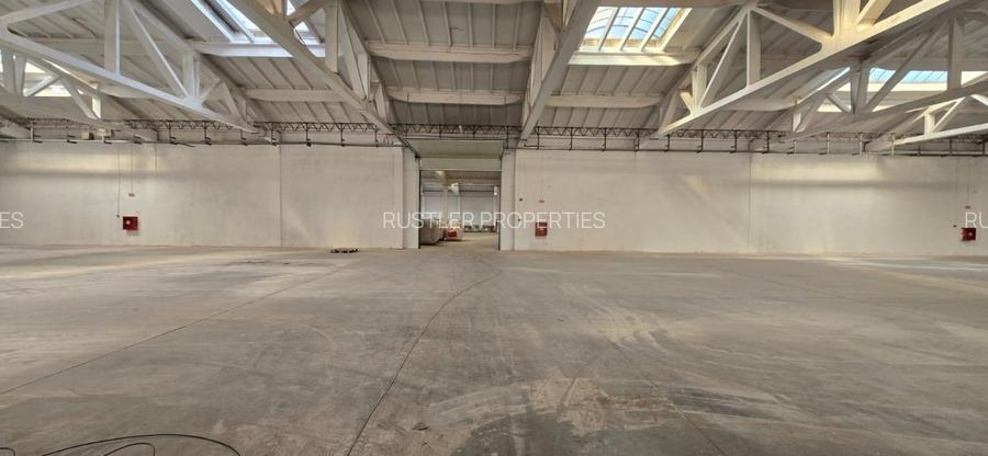 Hala de inchiriat Braila - 4