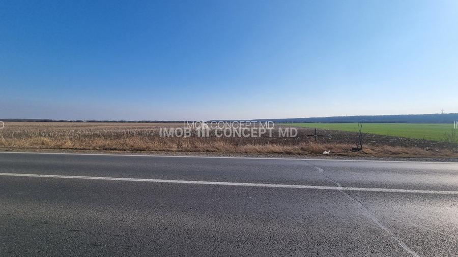 Vanzare Teren Extravilan 11000 mp, in Aricestii Rahtivani, Jud Prahova - 7