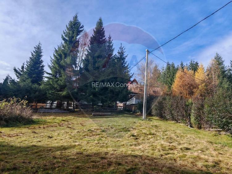 Cabană de vânzare în Muntele Băișorii – Zona Jera - 4