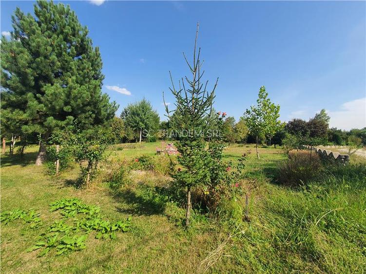 Teren intravilan Sacel -zona lacuri -ultimul lot de 900mp - 13