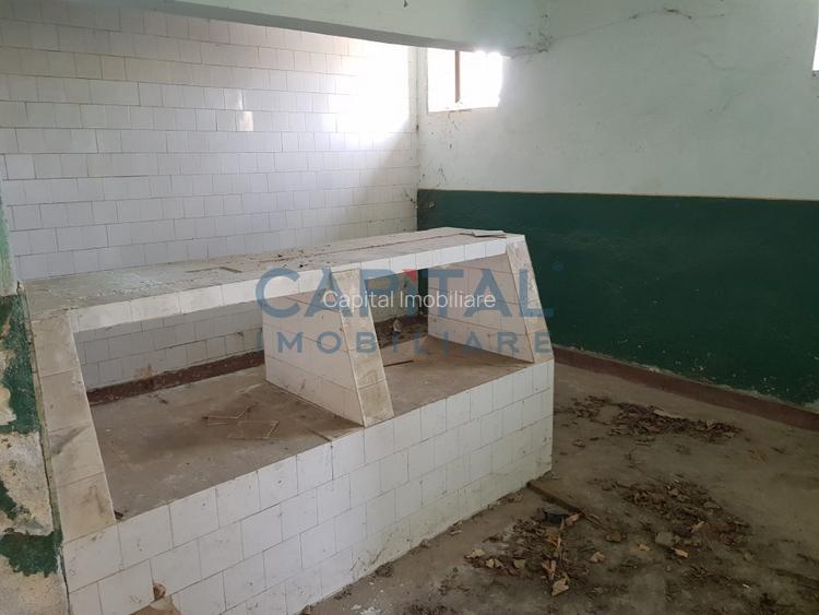 Comision 0%, Doman, Constructie 698 mp si 1800 mp de teren - 4