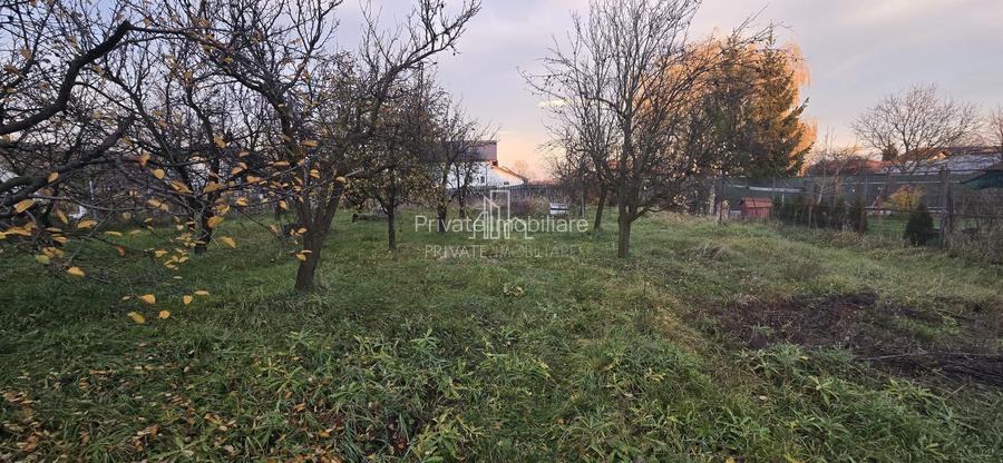 Teren Intravilan 1,2 Hectare cu Cert Urbanism,Sat Tisieu,Com. Ibanesti - 2