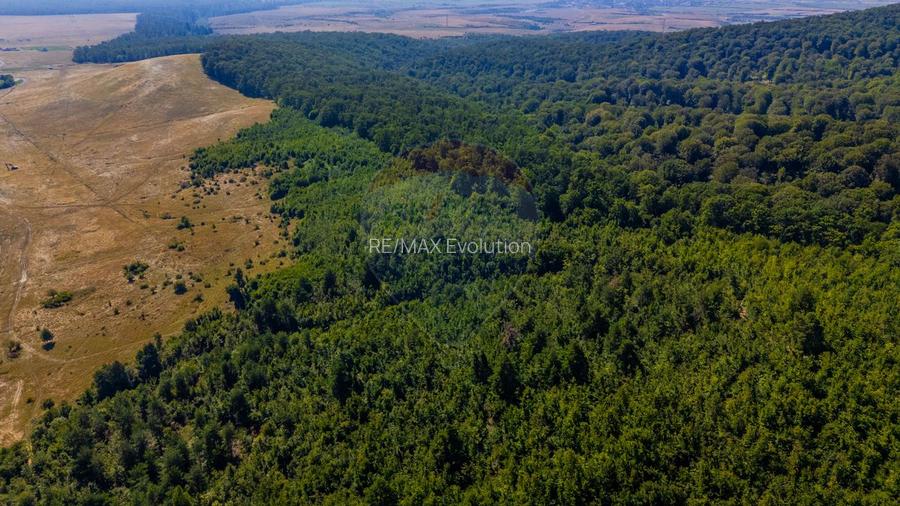 Teren 6,000mp Crizbav / Strada principala - 6