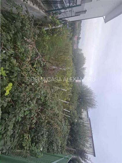 Teren pentru constructii case  de vanzare Iasi, Valea Lupului, - 2