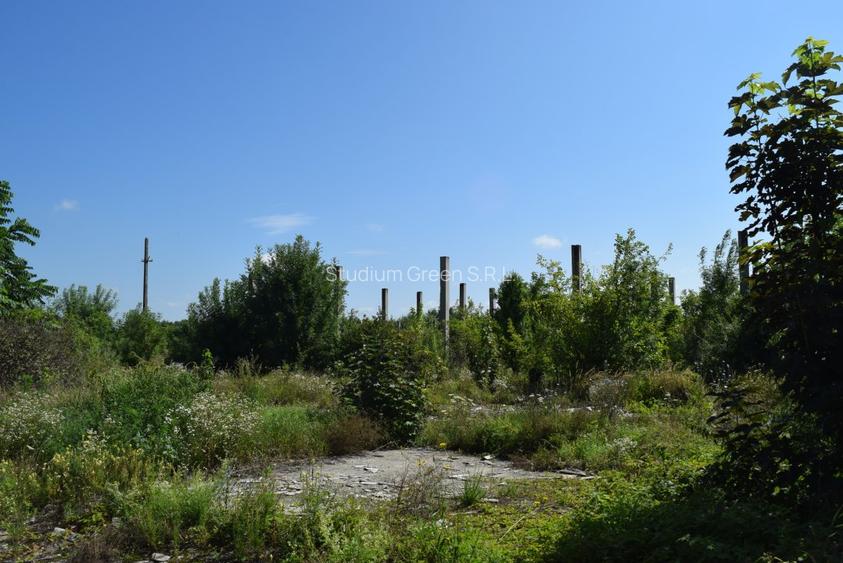 Oportunitate!Investitie! Proprietar vand teren in Deta / Timis- comision 0 - 7