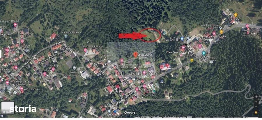 Proprietar vand 7059 mp in Predeal- str. Schiorilor/Cioplea