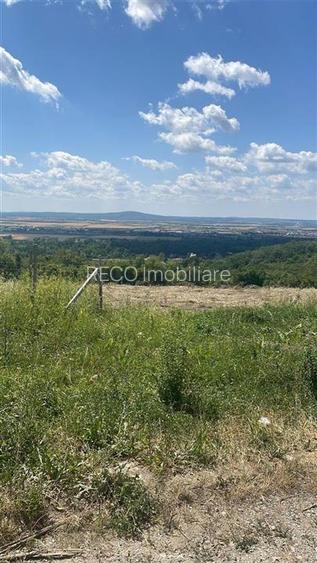 RECO Teren Extravilan Podgoria Oradea - 5
