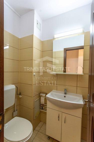 Dristor Fizicienilor Apartament 3 camere - 18