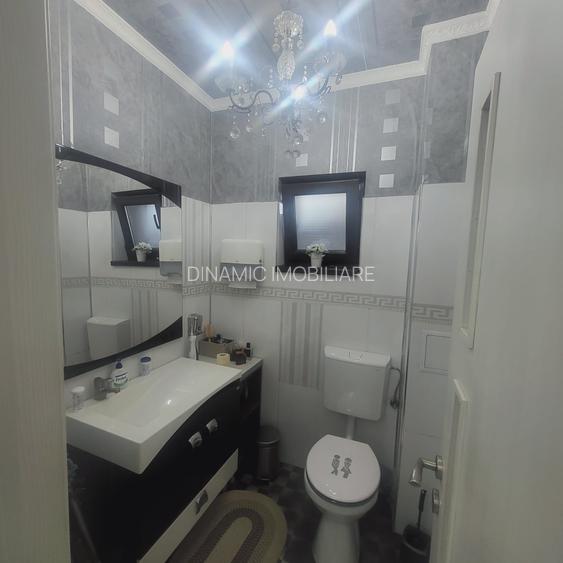 FUNDENI-DOBROIESTI, vila 2014 P+M, singur curte - 12