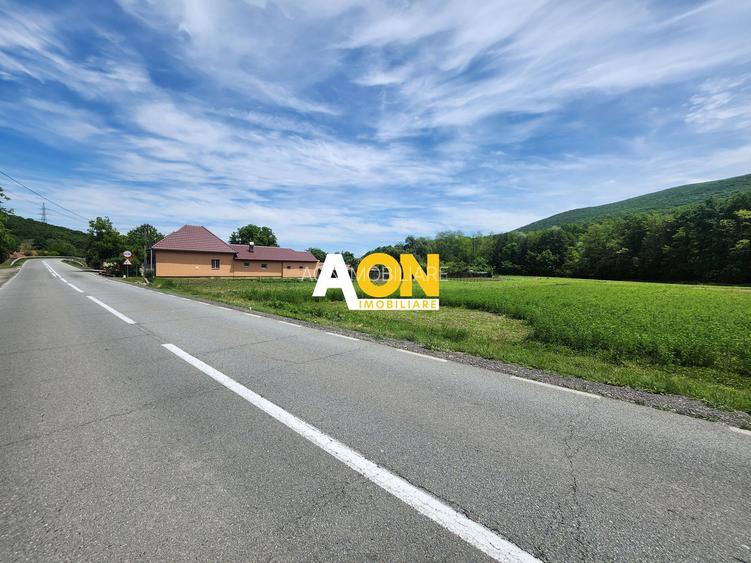 De vanzare teren 936mp cu utilitati, Gura Ampoitei - 4