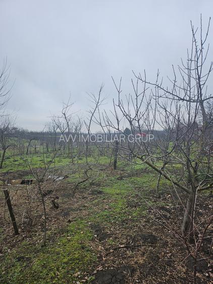 Comuna Vâlcelele - 12