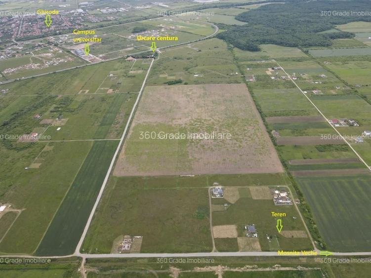 Teren  978 Mosnita - 2