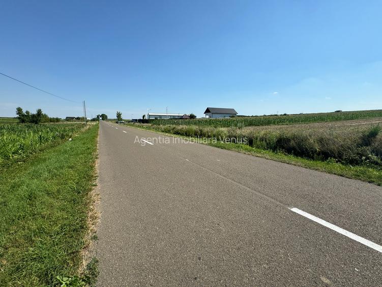 Teren intravilan Rachiti, 3868mp - 2