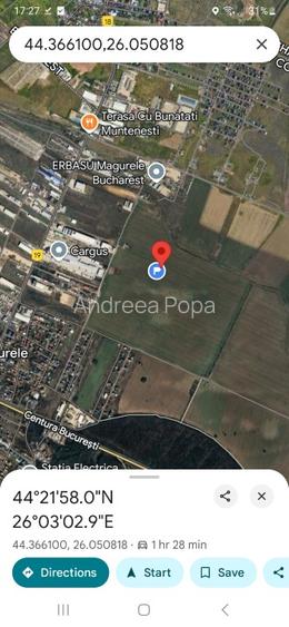 Vanzare Teren Magurele 3702 mp - 2