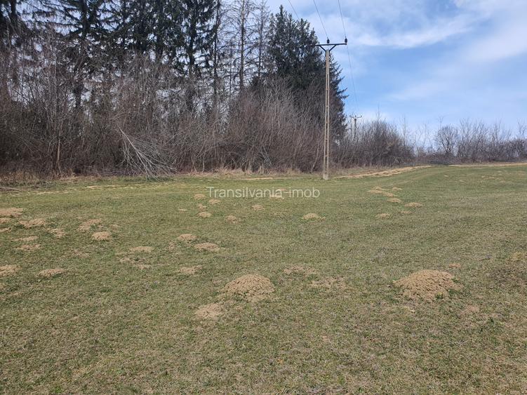 Teren Tarlungeni pretabil investitie 3,5 euro/mp - 3