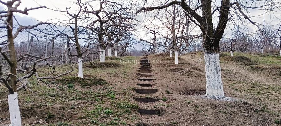 Casă de vânzare -locul unde "acasă"prinde contur  - 15