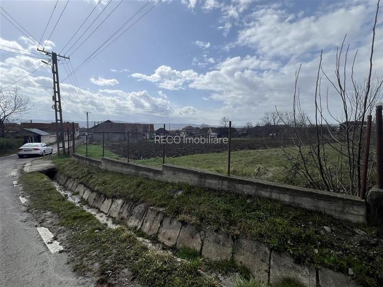 RECO ,teren intravilan in Tinaud,Bihor - 6