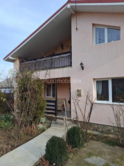 CASA INDIVIDUALA  in sat VLADICENI com. TOMESTI - 29