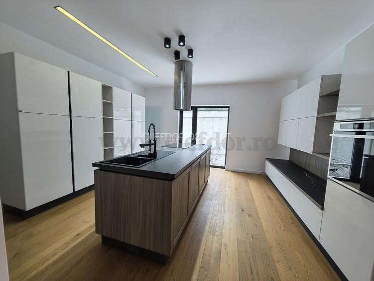 Iancu Nicolae- Cambridge School -Vila moderna de inchiriat! - 12