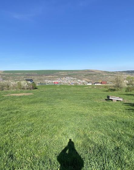 Teren cu casa demolabila Valea Chintaului 2000 mp extravilan  - 3