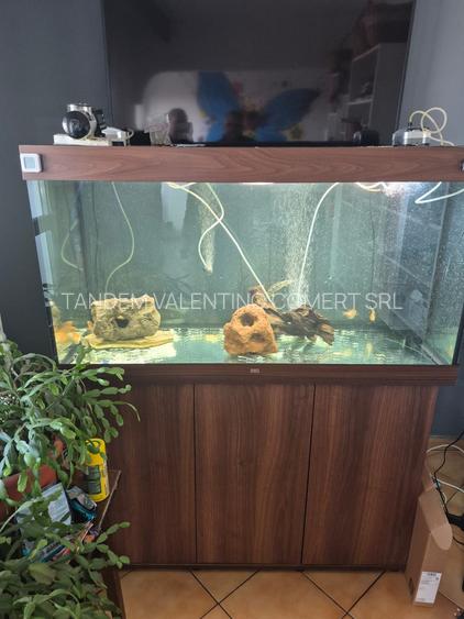 Crangasi stradal , 2 minute metrou - 6