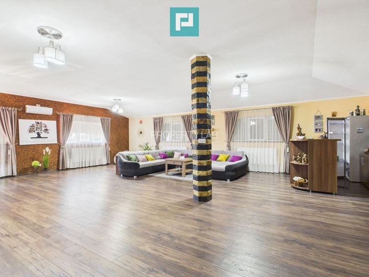 Pensiune la Orțișoara - 24