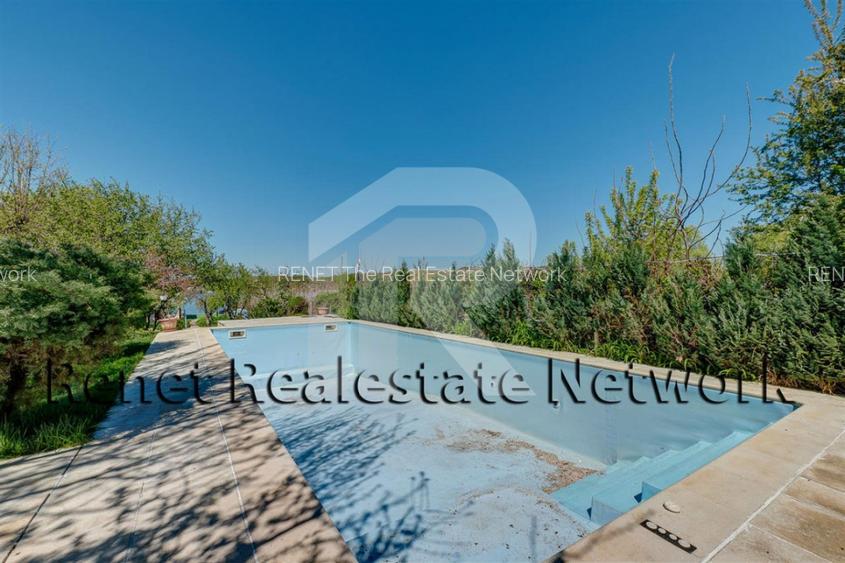 O Poveste de Vis pe Malul Lacului Snagov - 36