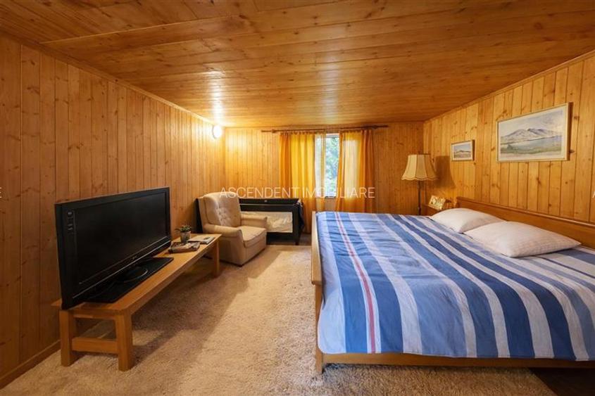 FILM &Tur LIVE! Casa de vacanta, intr- o ariere admirabila,Lunca Bradului - 4