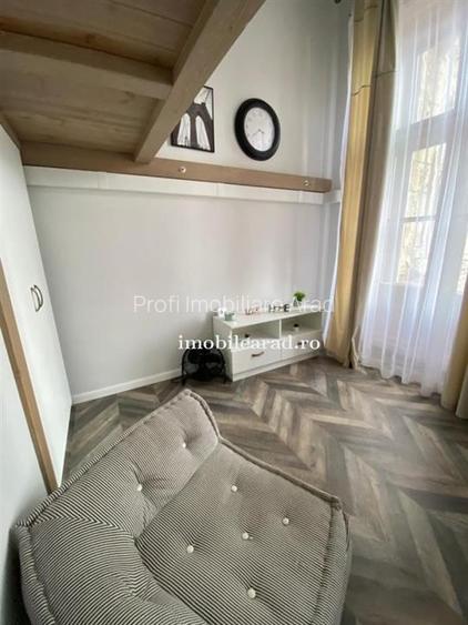 Apartament 60 Euro pe zi, amenajat in stil unic langa Primaria Arad - 4