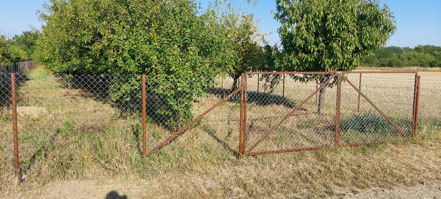 Teren intravilan in Sag jud. Timis - 5