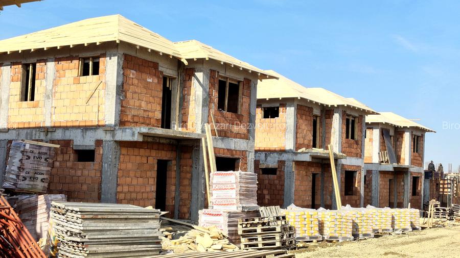 Vile individuale padurea Rosu - 9