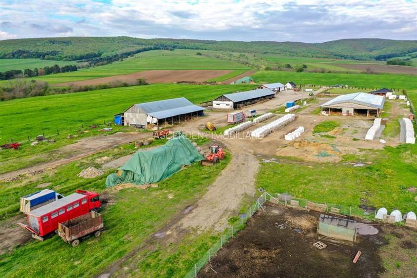 Ferma+Anexe specifice+ Constructie rezidentiala+222.000 mp domeniu - 22