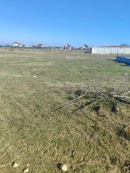 Teren Intravilan comuna Osorhei Bihor. - 5