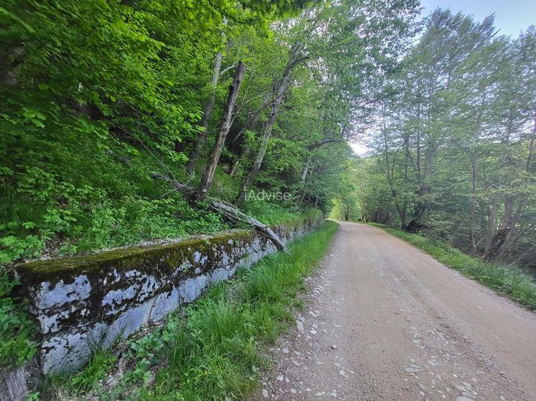 Teren de 12.000 mp la Vama Buzăului – Locație de Vis cu PUZ Aprobat - 11