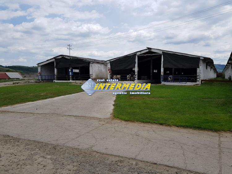 Ferma de vanzare in apropiere de Alba Iulia - 6