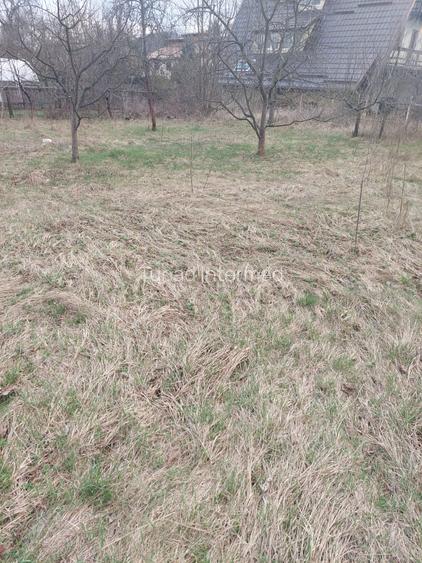 Vanzare teren ultracentral - 3